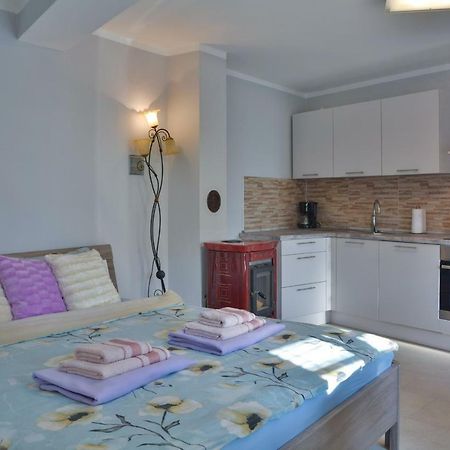 Apartment Rupcic 塞尼 外观 照片